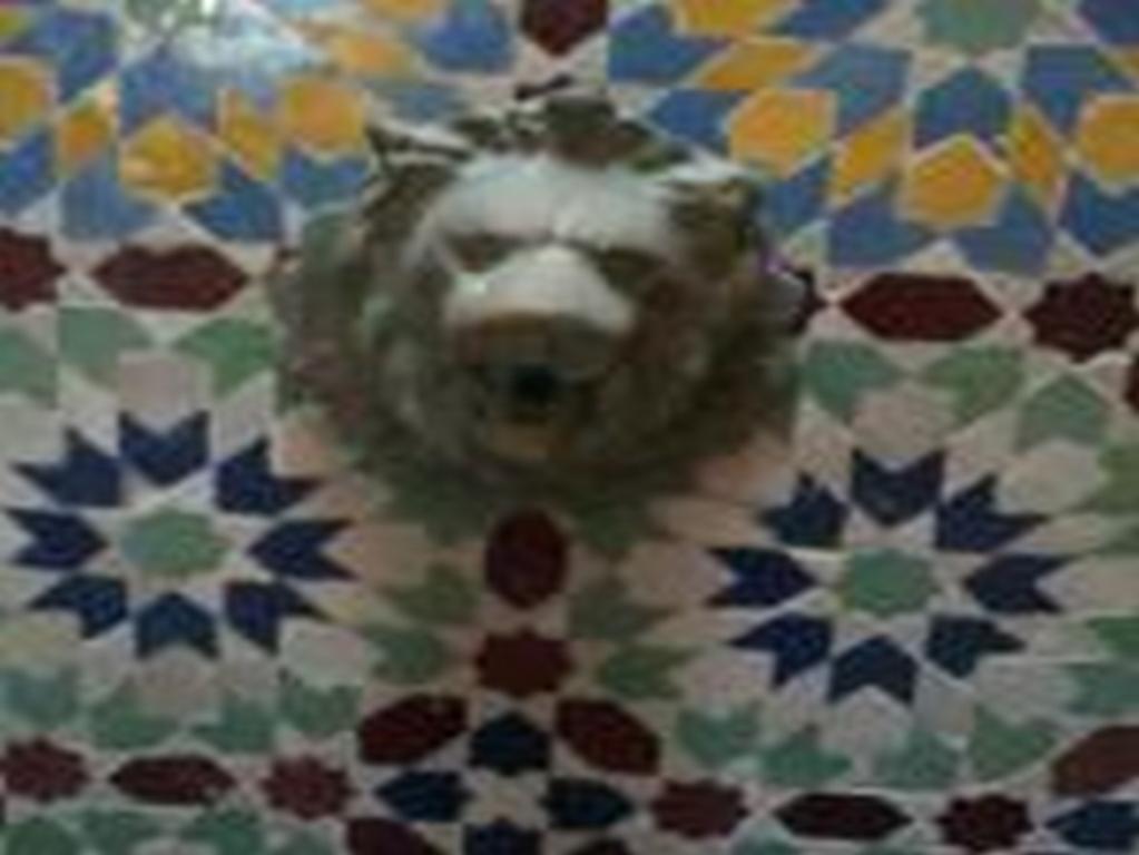 Riad Etoile D'Essaouira Exterior foto